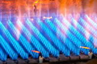 Cwmdu gas fired boilers